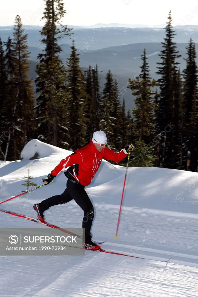 Male Cross Country Classic Skiing at Sovereign Lake Nordic Centre, near Vernon, Okanagan, British Columbia, Canada