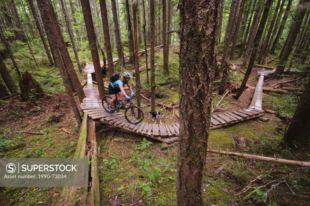 Mountain biking in Cumberland, Vancouver Island, British Columbia, Canada