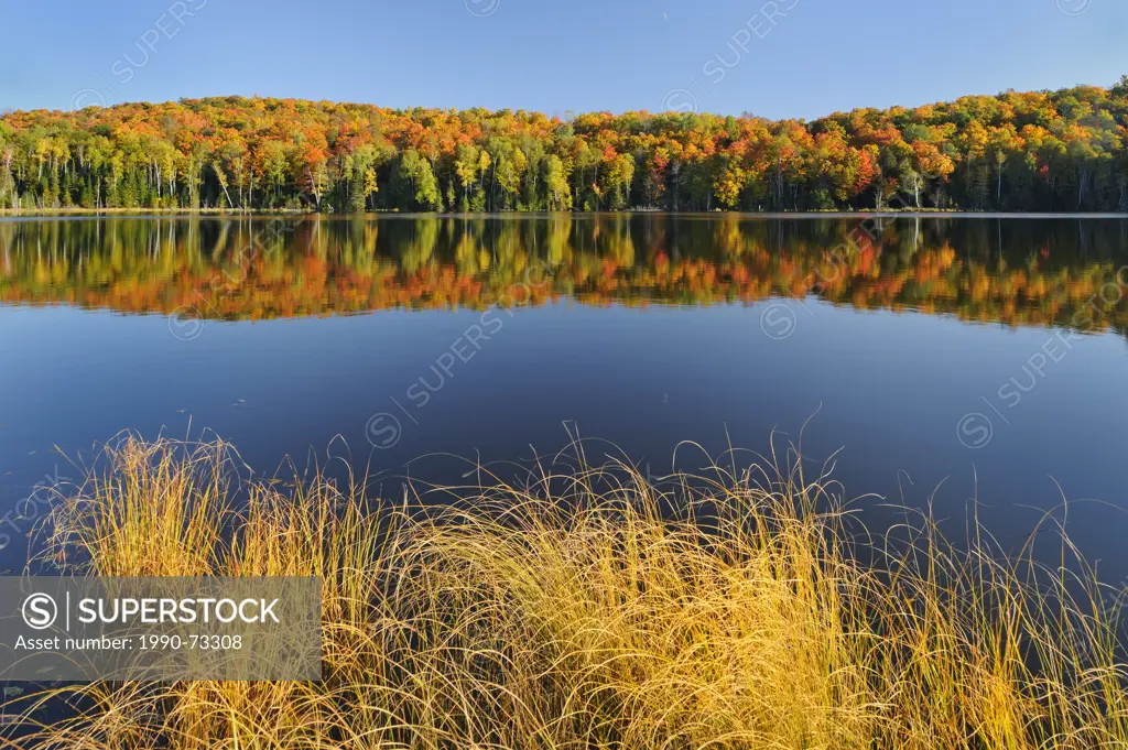 Autumn reflection, Anderson Lake, Kawarthas, Ontario, Canada