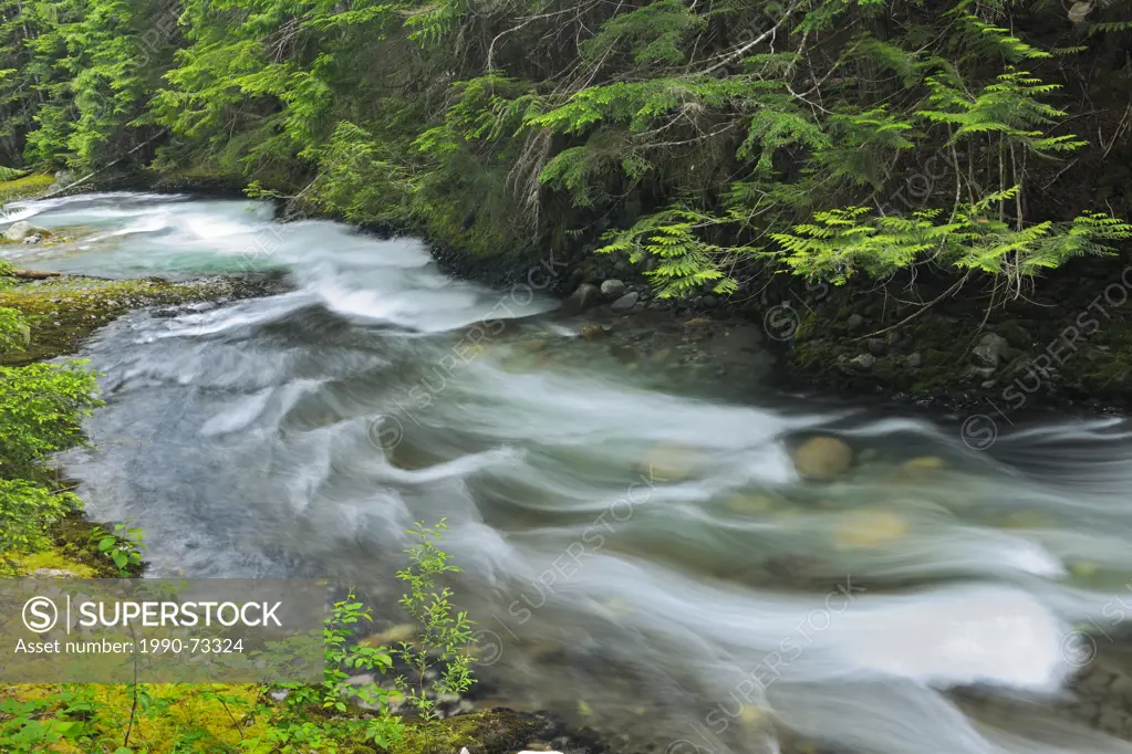 Brandywine Creek, Brandywine Falls Provincial Park, British Columbia, Canada