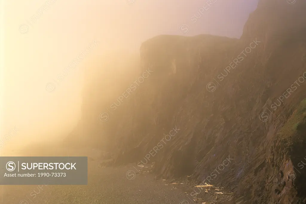 Cliffs in fog at sunrset along the Bay of Fundy, Cape d' Or, Nova Scotia, Canada