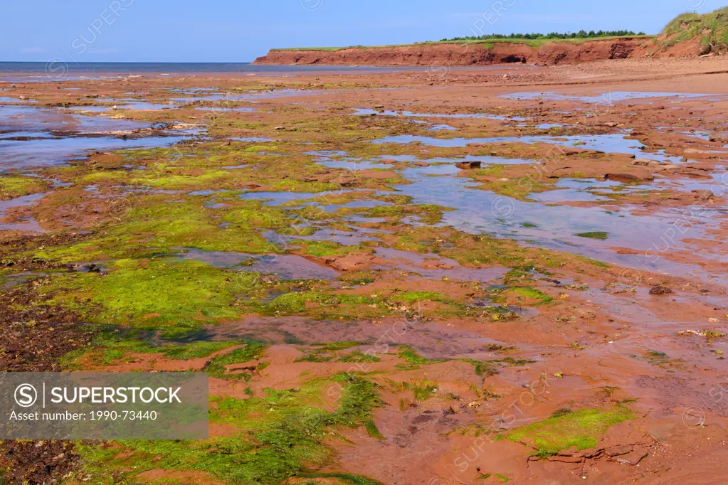 Low tide and beach along the Gulf of St. Lawrence, West Cape, Prince Edward Island, Canada