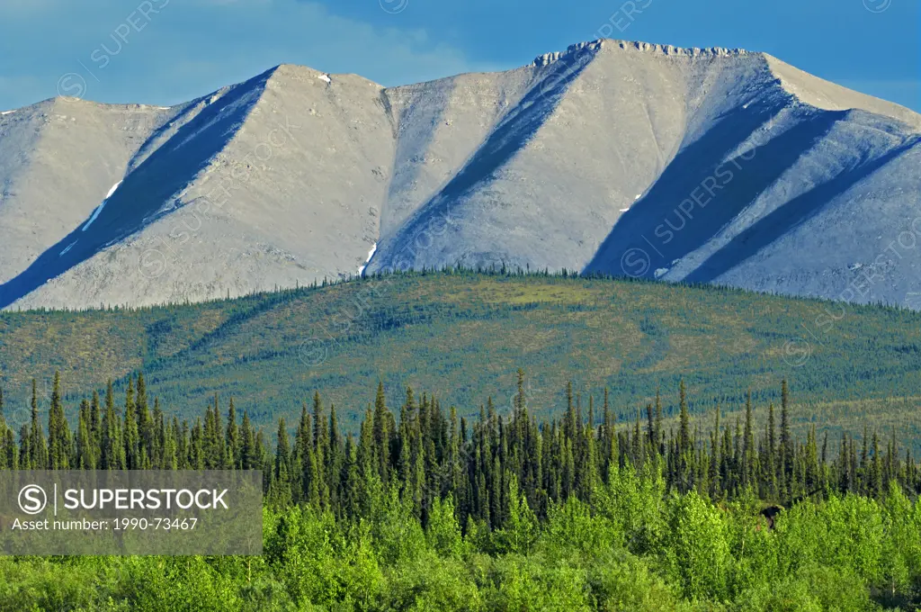 Ogilvie Mountains, Dempster Highway, Yukon, Canada