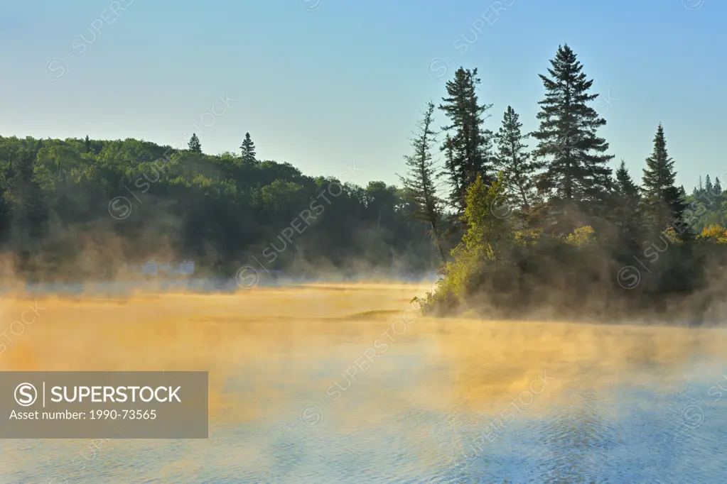 Fog rising off the Winnipeg River at sunrise in boreal forest, Lac du Bonnet, Manitoba, Canada