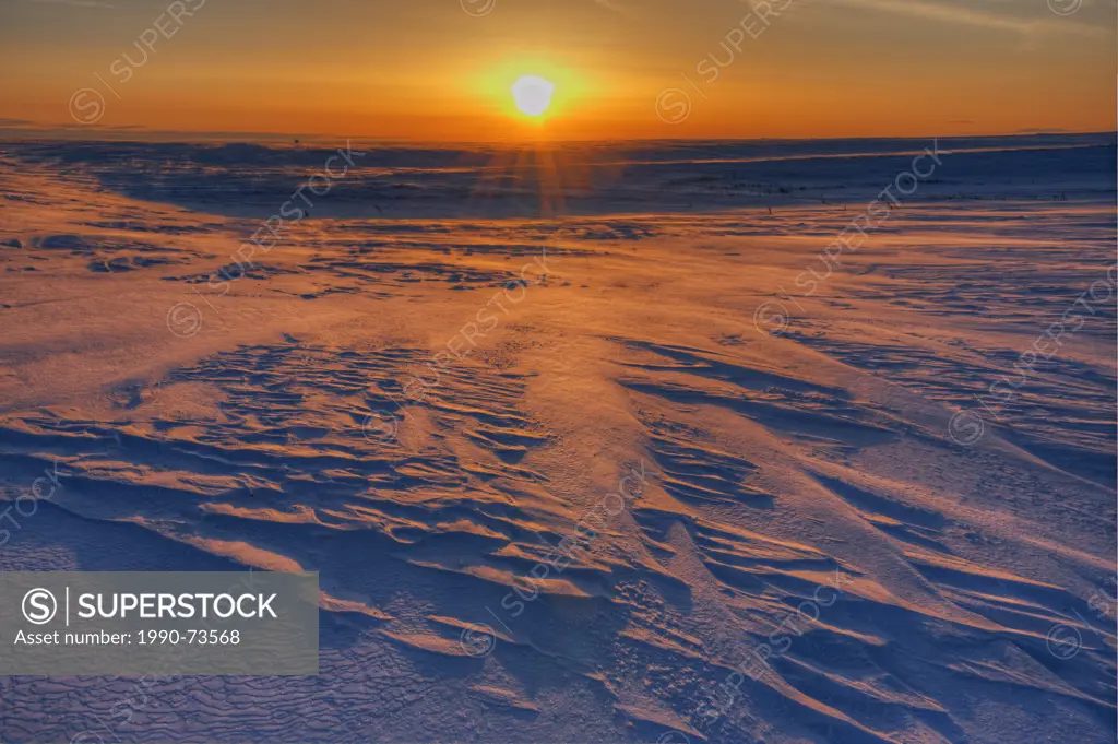 Sunrise on the Canadian prairie in winter, Willows, Saskatchewan, Canada
