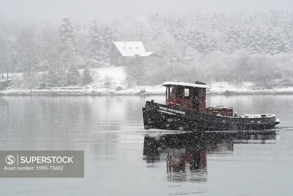 A small working tug Miss Katherine in a spring snowfall, Indian Point near Mahone Bay, Nova Scotia, Canada