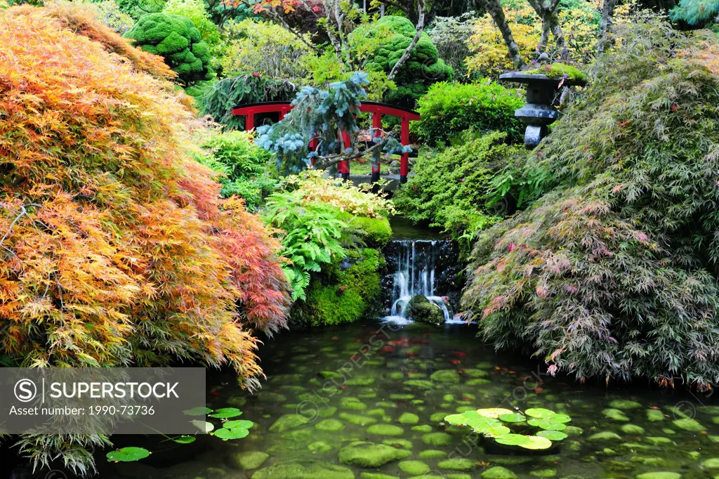 The Japanese Garden at Butchart Gardens in Victoria, BC., Canada