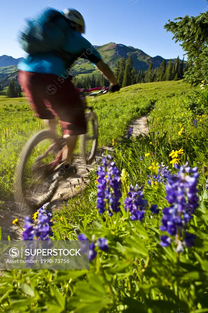 A male mountain biker rides the 401 Trail, Crested Butte, CO
