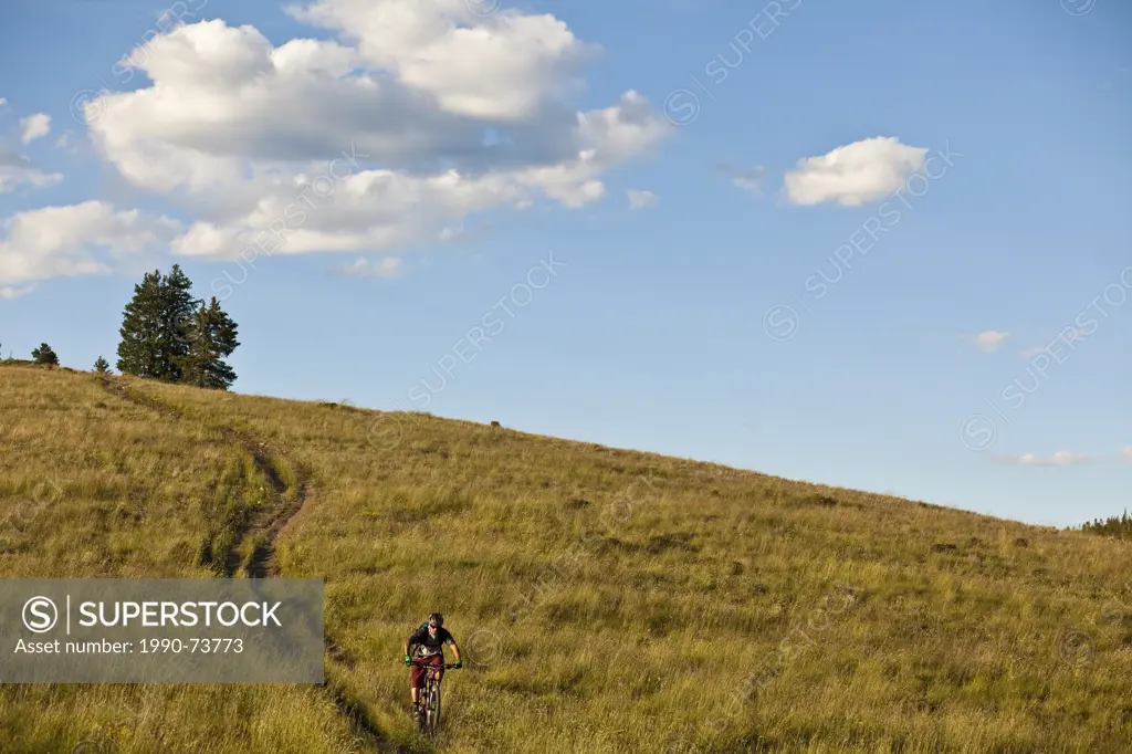 A male mountain biker the rides the amazing singletrack of Docters Park Trail, Crested Butte, CO
