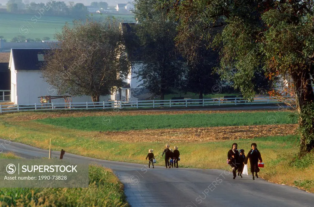 Amish Children Walking to School Lancaster County, Pennsylvania, U.S.A. No Model Release No Property Release