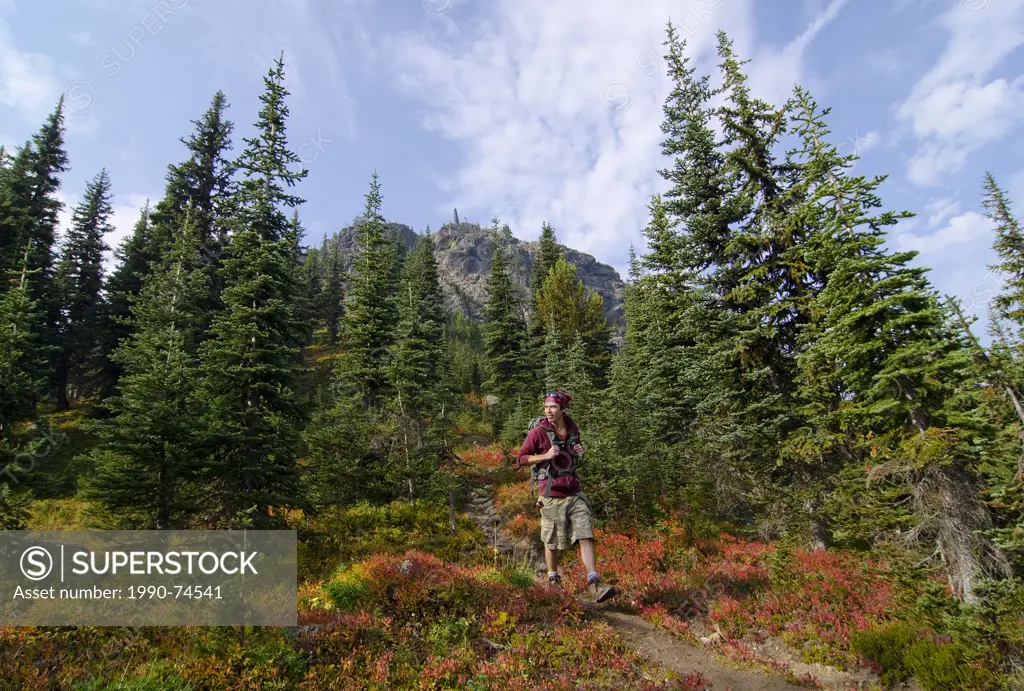 Hiker enjoys the scenery along the Paintbrush Trail in E.C. Manning Park in the Similkameen region of British Columbia, Canada