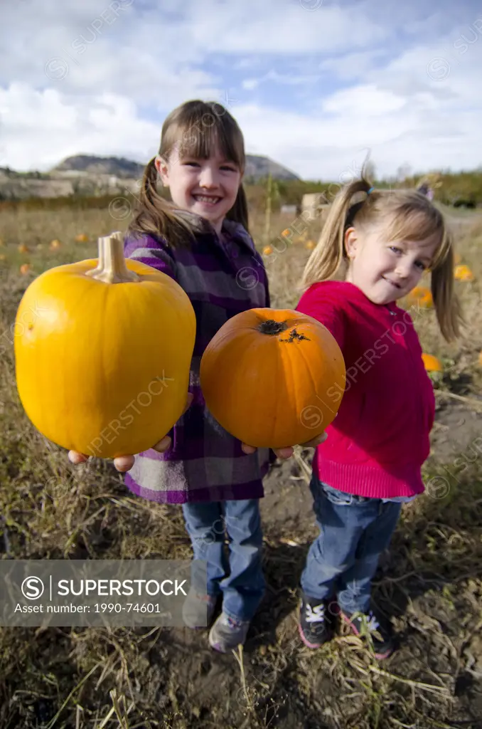 Young girls pick pumpkins at a farm stand in Summerland in the Thompson Okanagan region of British Columbia, Canada