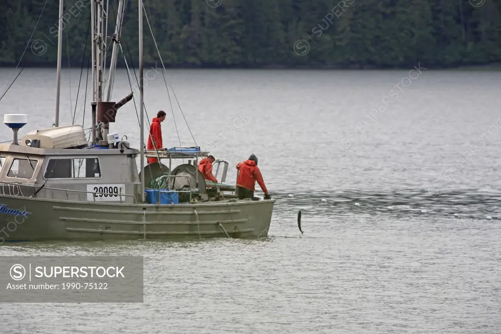 The Tyee Test Fishery gillnetter operating on the lower Skeena River, near prince Rupert, BC