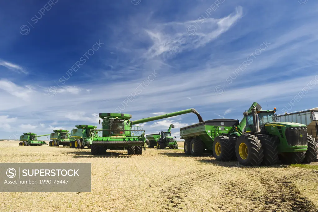 combine harvesters line up to empty canola into grain wagons during the harvest, near Kamsack, Saskatchewan, Canada