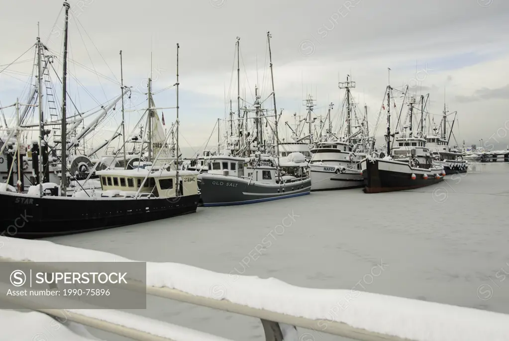 Fishing boats tied up for the winter freeze in Steveston Harbour, Steveston, Richmond, Metro Vancouver, British Columbia, Canada