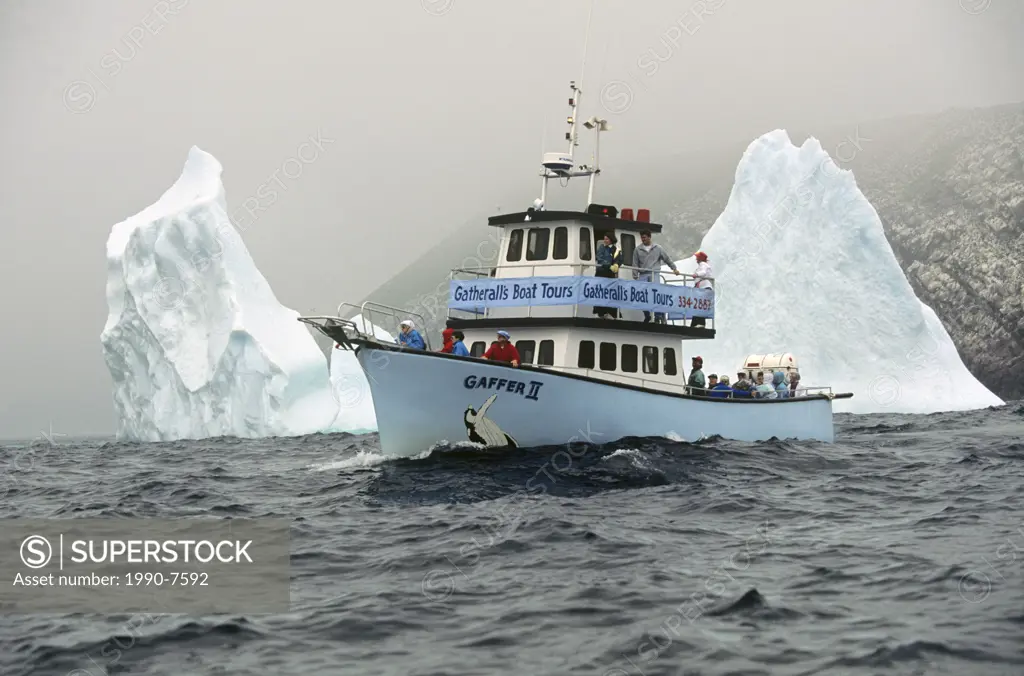 Whale watching boat and Iceberg off Witless Bay Ecological Reserve, Newfoundland, Canada