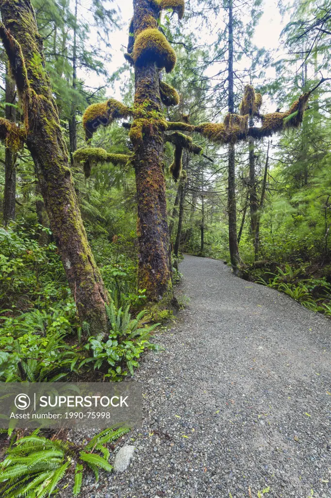Wild Pacific Trail on Vancouver Island, Ucluelet, British Columbia, Canada