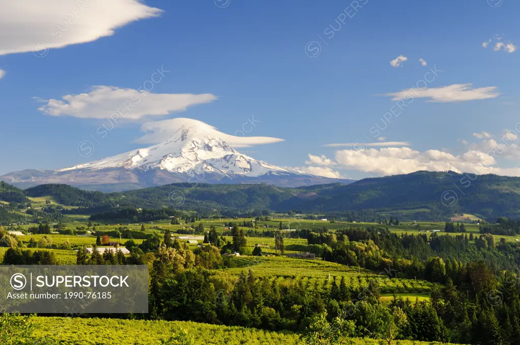 Farmland and orchards around Hood River, Oregon, USA. Mt. Hood in Oregon is in the background.