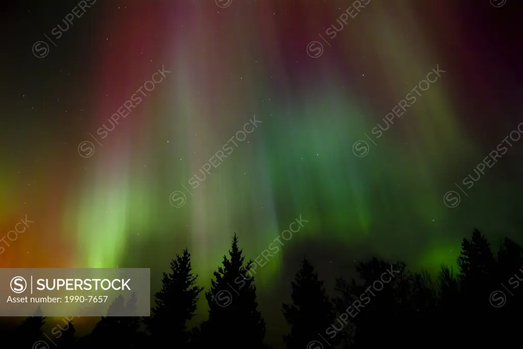Northern lights or aurora, Birds Hill Provincial Park, Manitoba, Canada