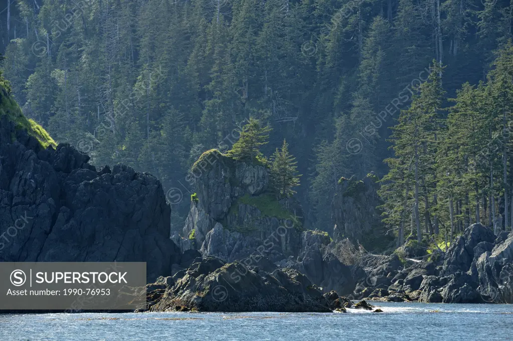 Rocky shoreline of South Moresby Island, Haida Gwaii (Queen Charlotte Islands) Gwaii Haanas NP, British Columbia, Canada