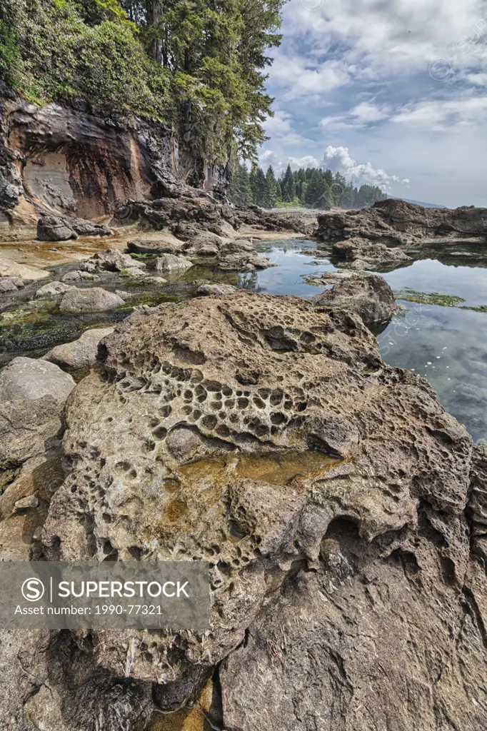 Tidal pools and the ocean carved shoreline at Botanical Beach Provincial Park, Vancouver Island, British Columbia.