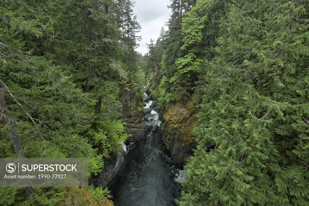 The Little Qualicum Rivers flows through a deep narrow gorge. Little Qualicum Falls Provinical Park, British Columbia.