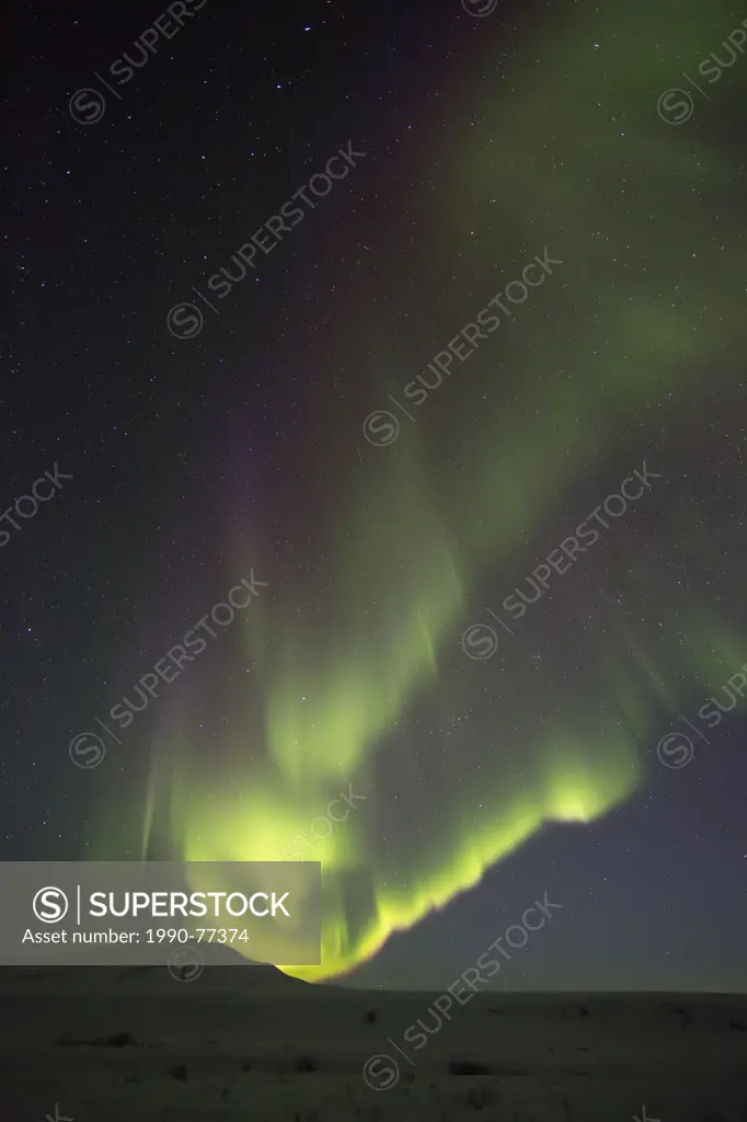 Aurora borealis or northern lights dance across the dark night sky, Dempster Highway, Yukon.