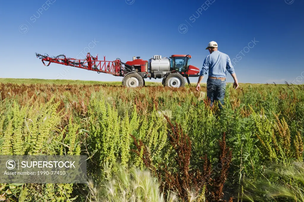 a man scouts weeds in field next to a high clearance sprayer, near Moreland, Saskatchewan, Canada