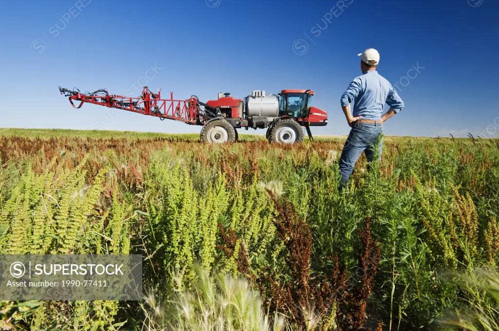 a man looks out over weeds in a field next to a high clearance sprayer, near Moreland, Saskatchewan, Canada