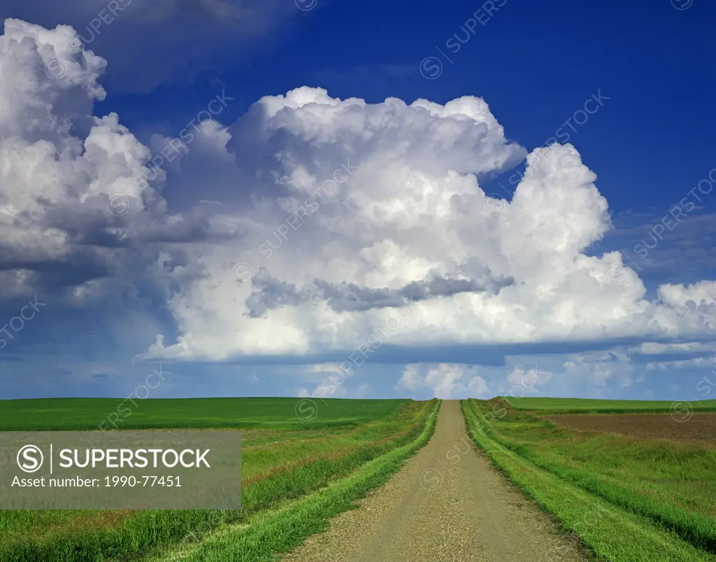 country road with cumulonimbus cloud mass in the background, near Willow Bunch , Saskatchewan, Canada