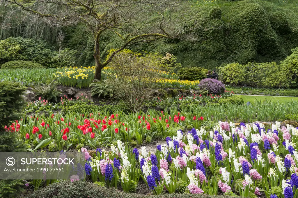 The Sunken Garden, Butchart Gardens, Brentwood Bay, Vancouver Island, British Columbia, Canada