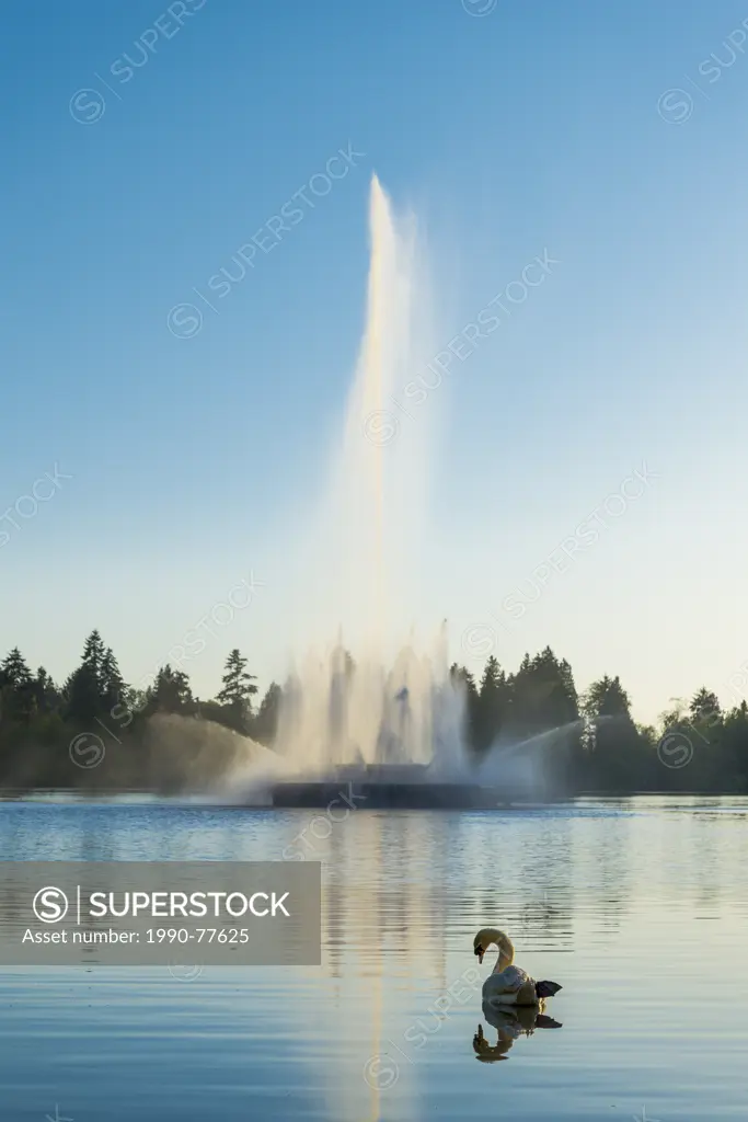Swan and fountain, Lost Lagoon, Stanley Park, Vancouver, British Columbia, Canada