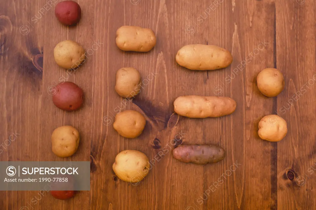 Varieties of potatoes, Prince Edward Island, Canada
