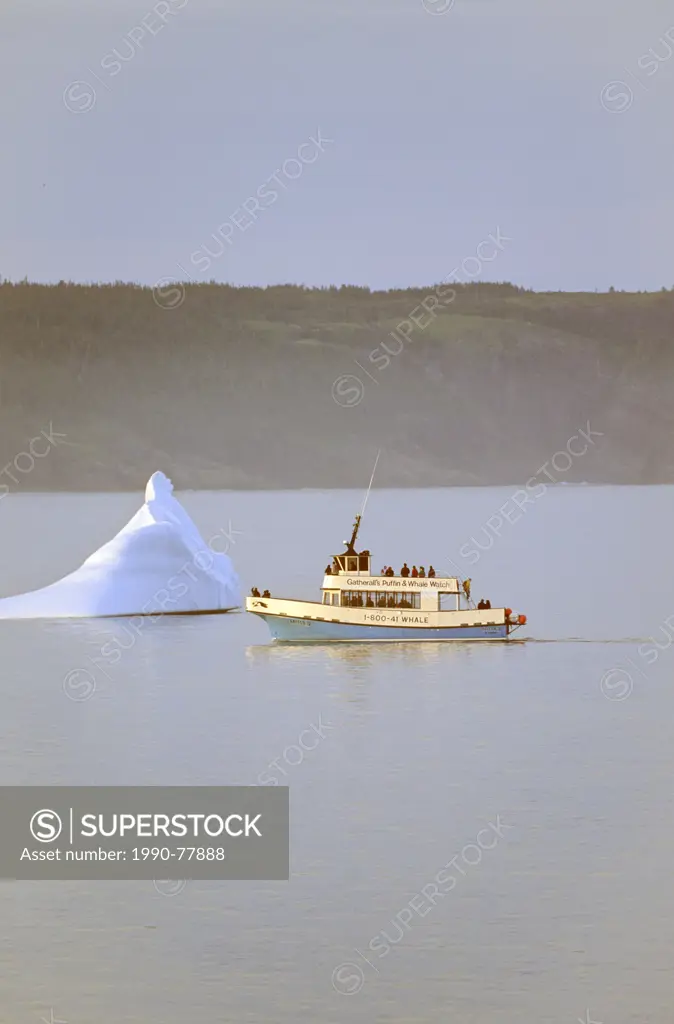 Whale watching tour boat and Iceberg, Witless Bay Ecological Reserve, Newfoundland, Canada,