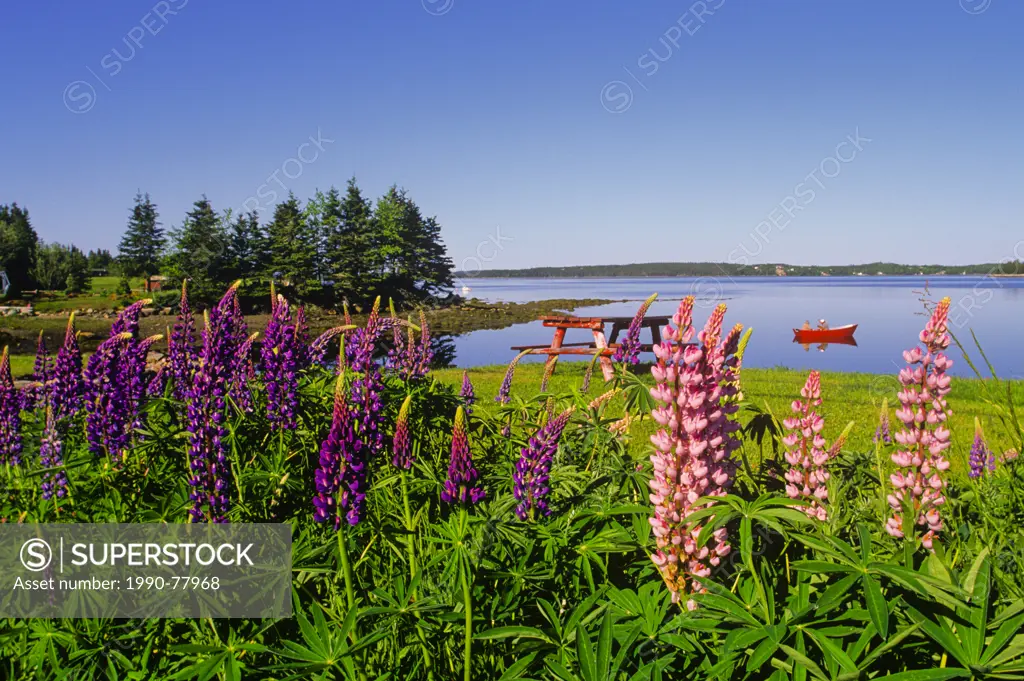 Oyster Pond, Eastern Shore, Nova Scotia, Canada
