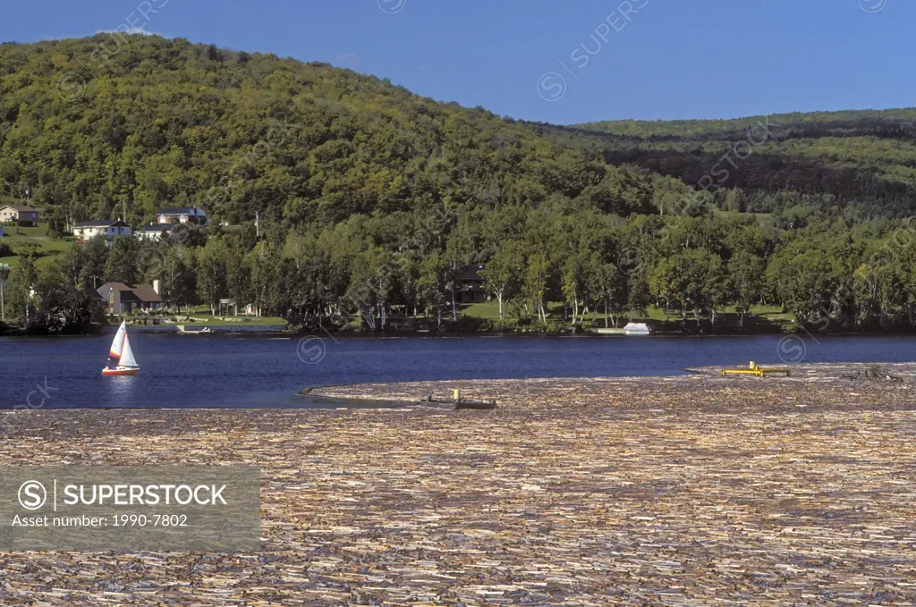 Sailboat drifts past log booms on Saint-Maurice River, Quebec, Canada