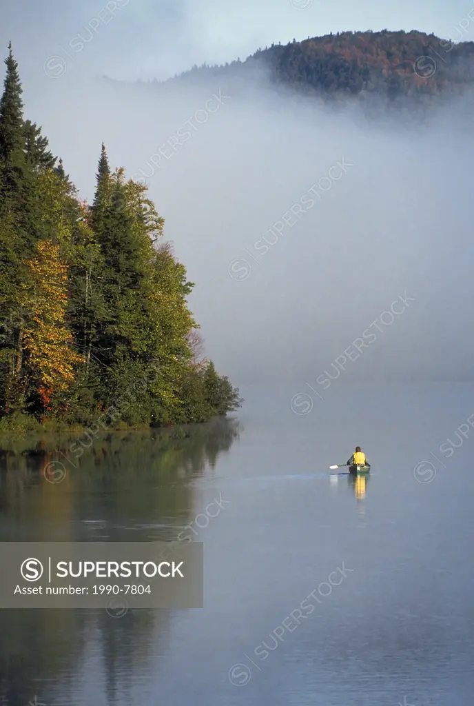 Canoeist paddles through morning mist in early September on Lake Monroe/Lac Monroe in Mont-Tremblant Provincial Park/Parc national du Mont-Tremblant i...