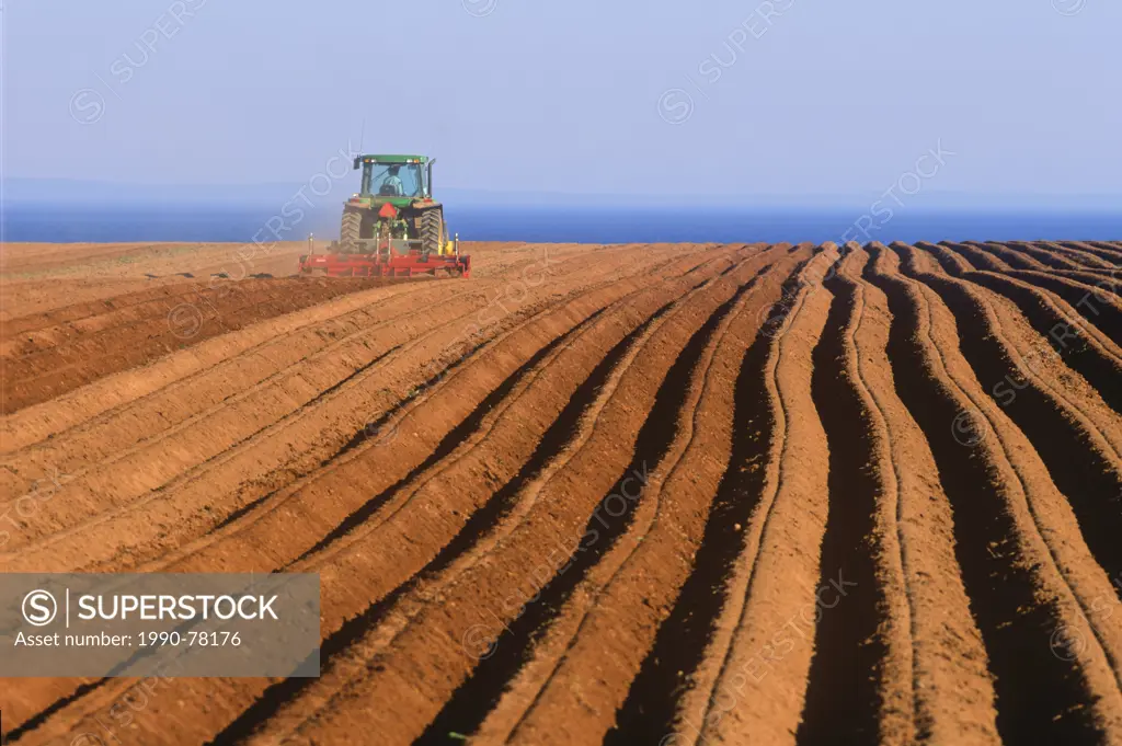 Ploughing field, Guernsey Cove, Prince Edward Island, Canada,