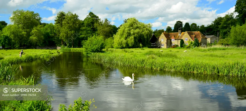 Fly fishing for trout near country estate, Avon River, Chalkstreams, England