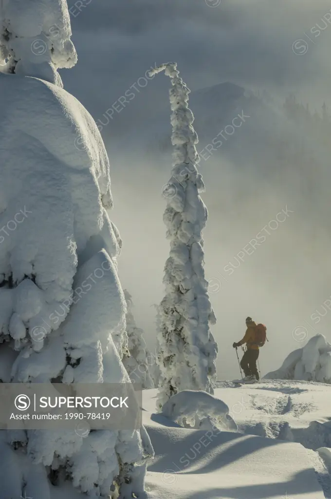 A man pauses on a foggy ridge while backcountry skiing near Nelson, British Columbia