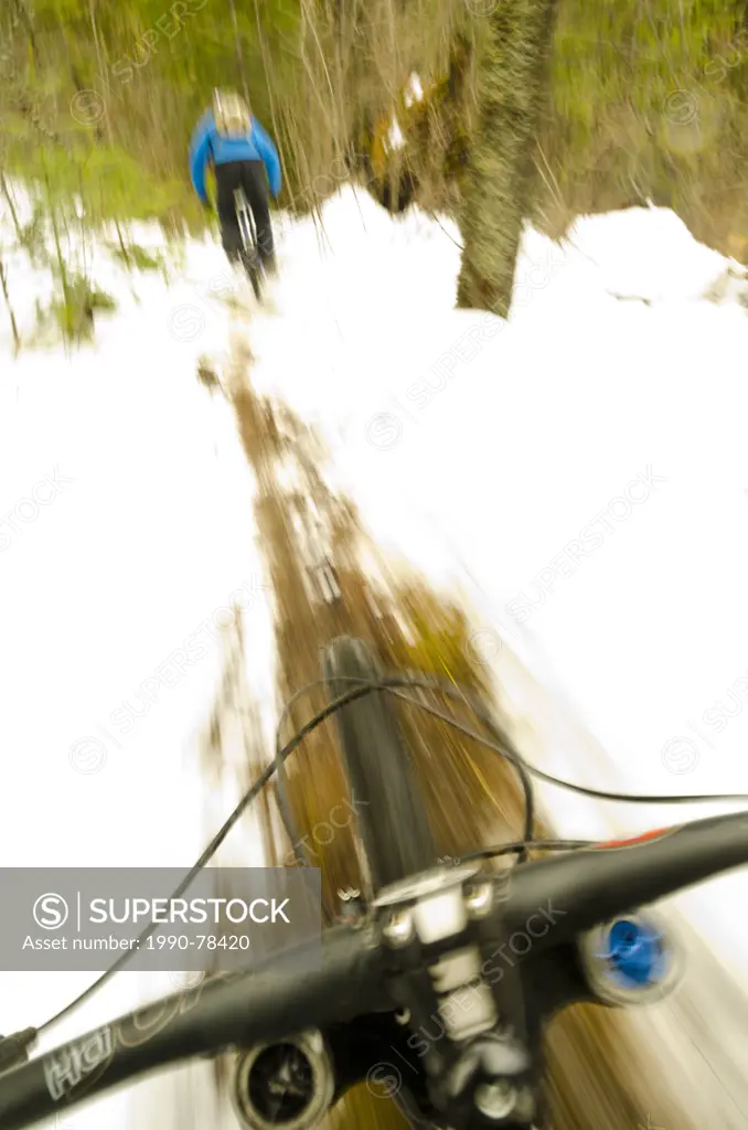 Mountain bikers ride a trail that is just melting out of winter's snowpack, Nelson, British Columbia