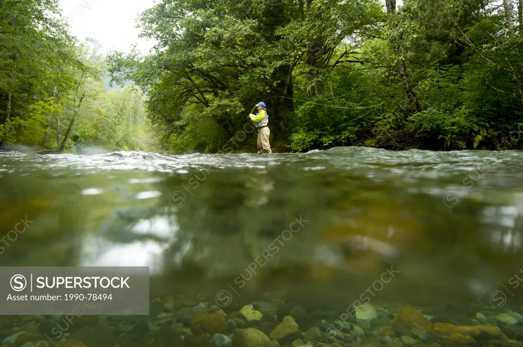 A young woman fly-fishing for trout on the Saloompt River, Bella