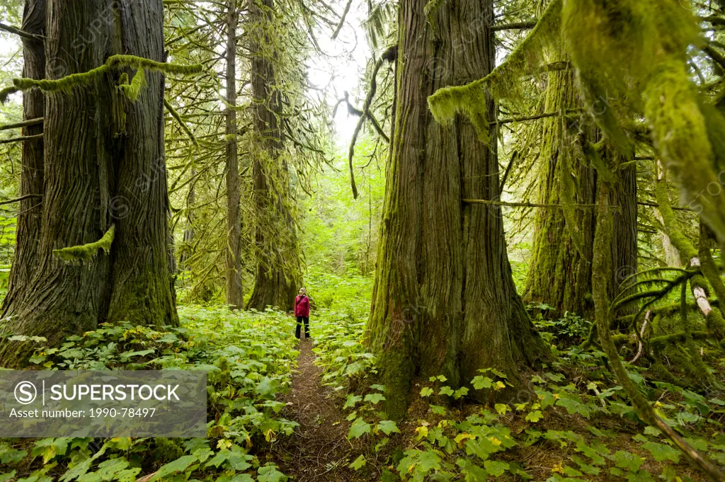 A young woman hiking in Snootli Creek Regional Park, Bella Coola, British Columbia