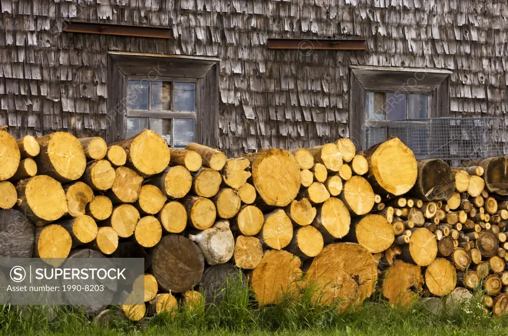Woodpile stacked along weathered wall of house, Gaspe Peninsula, Ste  Flavie, Quebec, Canada