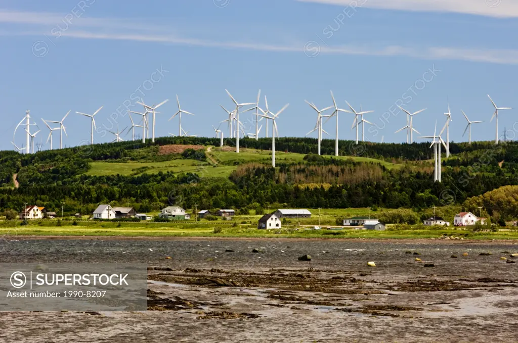 Wind turbines overlooking dwellings along the coast of Gulf of St  Lawrence, Gaspe Peninsula, Capucins, Quebec, Canada