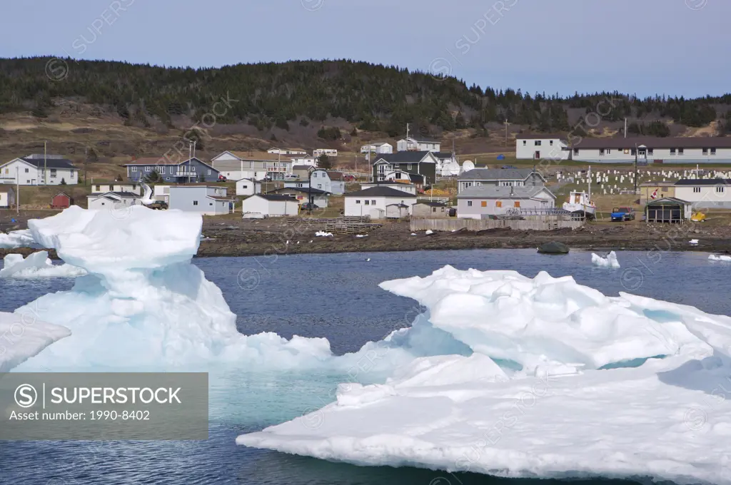 Pack Ice in Conche Harbour, Conche, French Shore, Great Northern Peninsula, Viking Trail, Newfoundland & Labrador, Canada