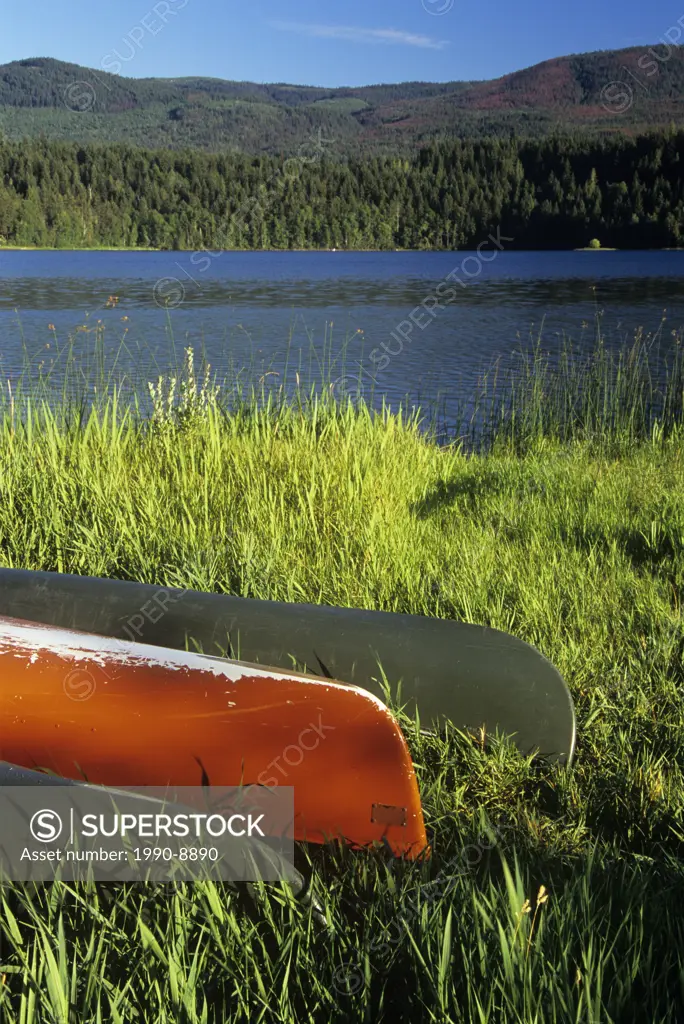 Canoes on the shore of Dutch Lake, Clearwater, British Columbia, Canada