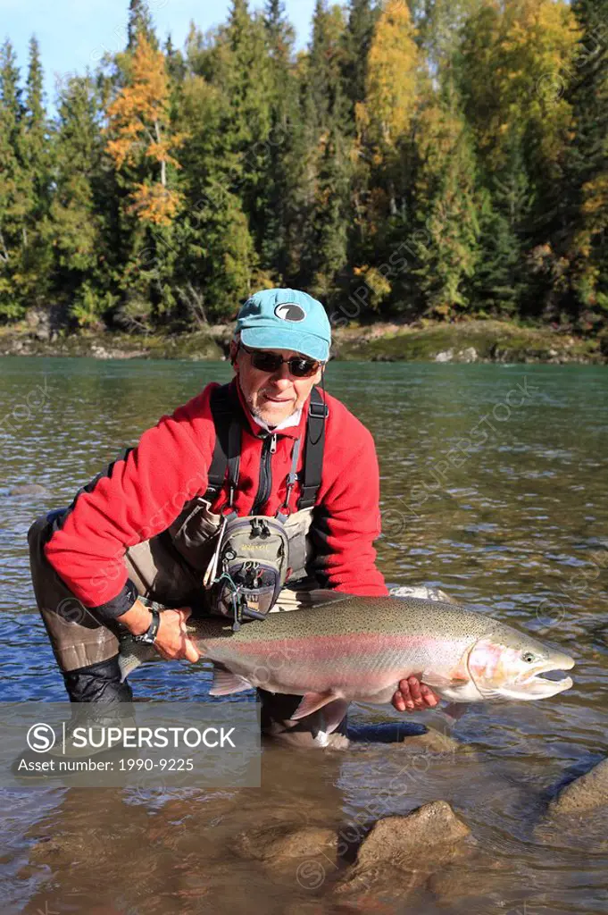 Angler with steelhead prior to release, Bulkley river, British Columbia, Canada.