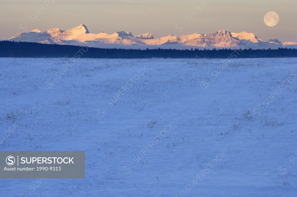 Pasture, full moon and Rocky Mountians _ Water Valley _ Alberta, Canada.