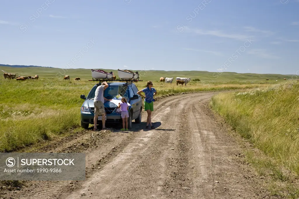 Young family looking at map apparently lost on Gap road between Center Block and West Block of Cypress Hills Interprovincial Park, Saskatchewan, Canad...